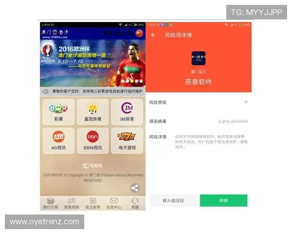 开云完美体育app手机投注攻略,帮助用户提升投注成功率与盈利技巧 开云完美体育app手机投注攻略,帮助用户提升投注成功率与盈利技巧