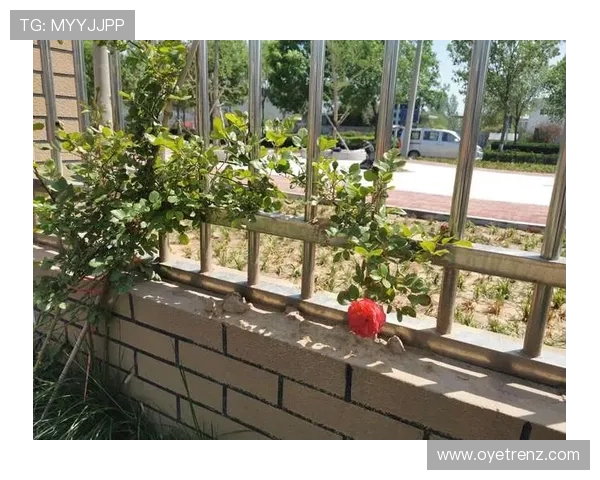 开云彩票222753 com注册流程详解,帮助新用户快速上手体验丰富彩票娱乐 开云彩票222753 com注册流程详解,帮助新用户快速上手体验丰富彩票娱乐