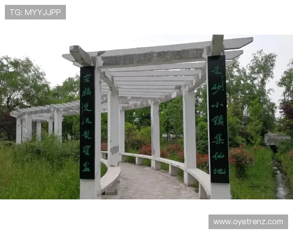 新手如何快速上手开云网站，提供详细的注册与操作指南