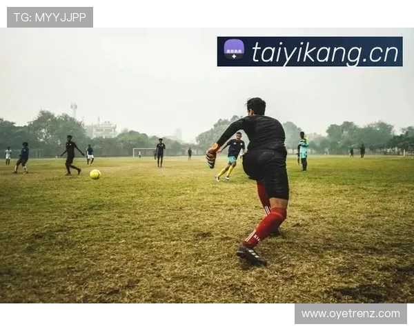 登录开云体育网站入口的技巧与注意事项，让你快速上手